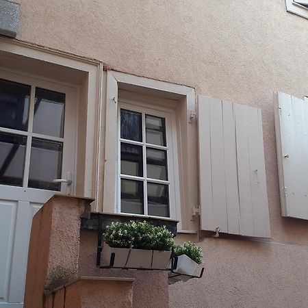 Colmar City Center Little Venise - Gite De Louise - Exterior foto